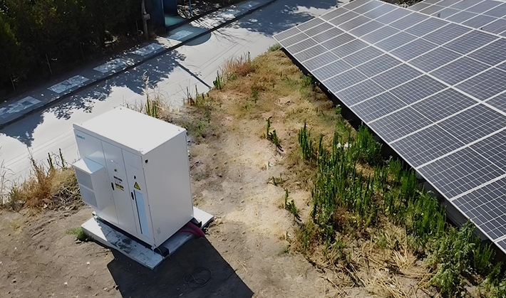 Bulgaria Hillside Plant Project