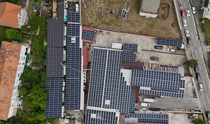 Romanian Meat Processing Plant